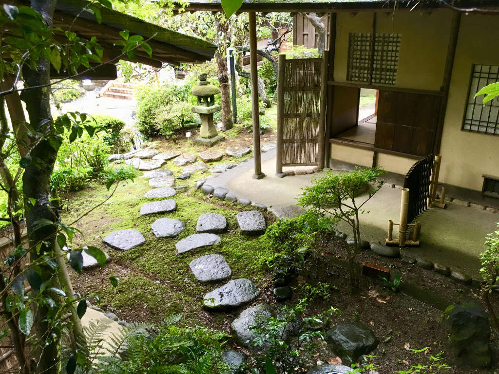 Petut jardin de thé à l'ombre