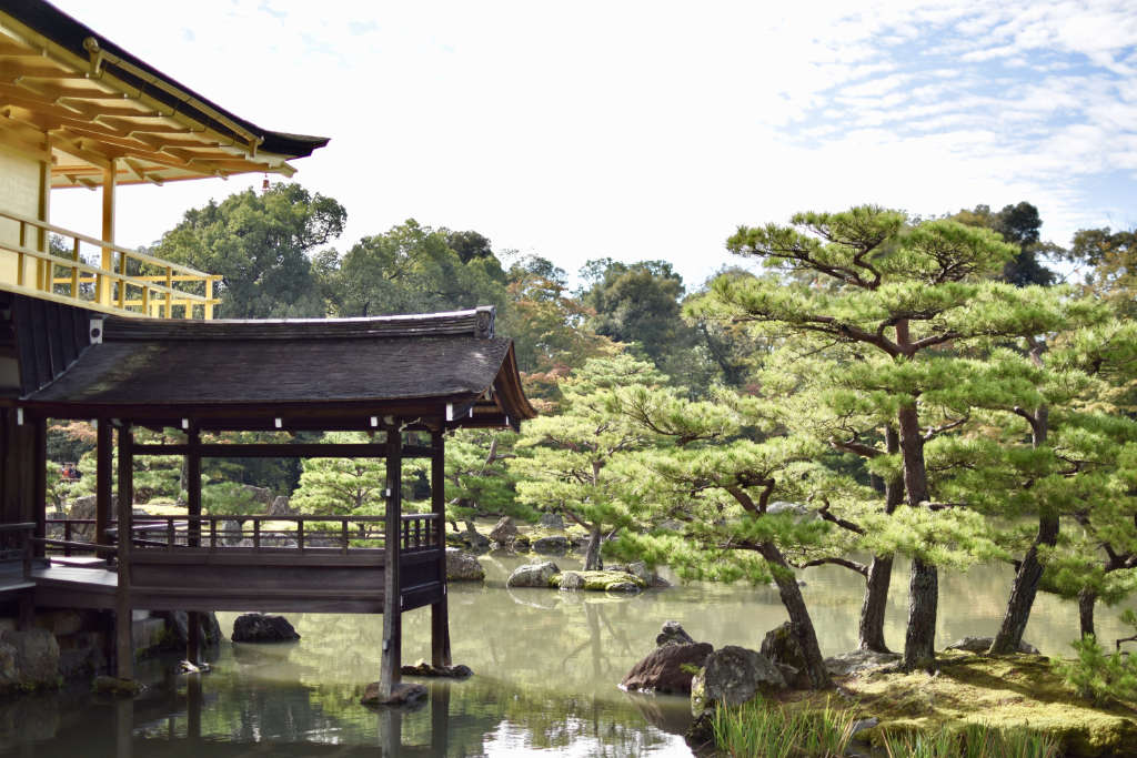 Au Kinkaku-ji à Kyoto, de nombreux pins sont taillés en niwaki